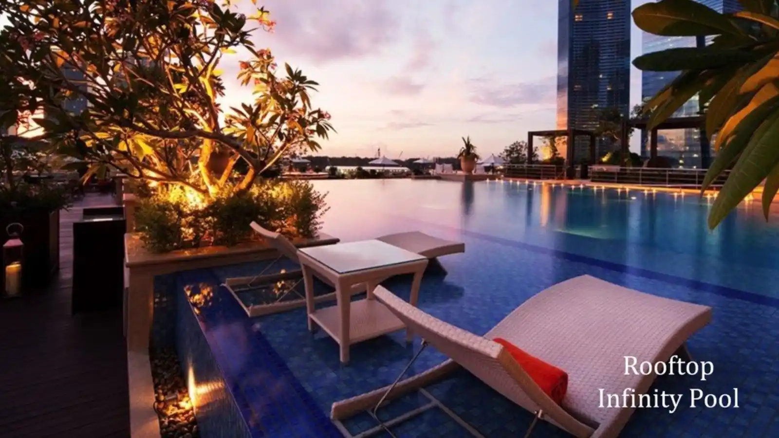 M3M-My-Den-Swimming-pool